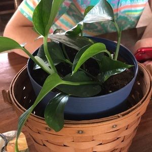 Meet your Posher, Faye